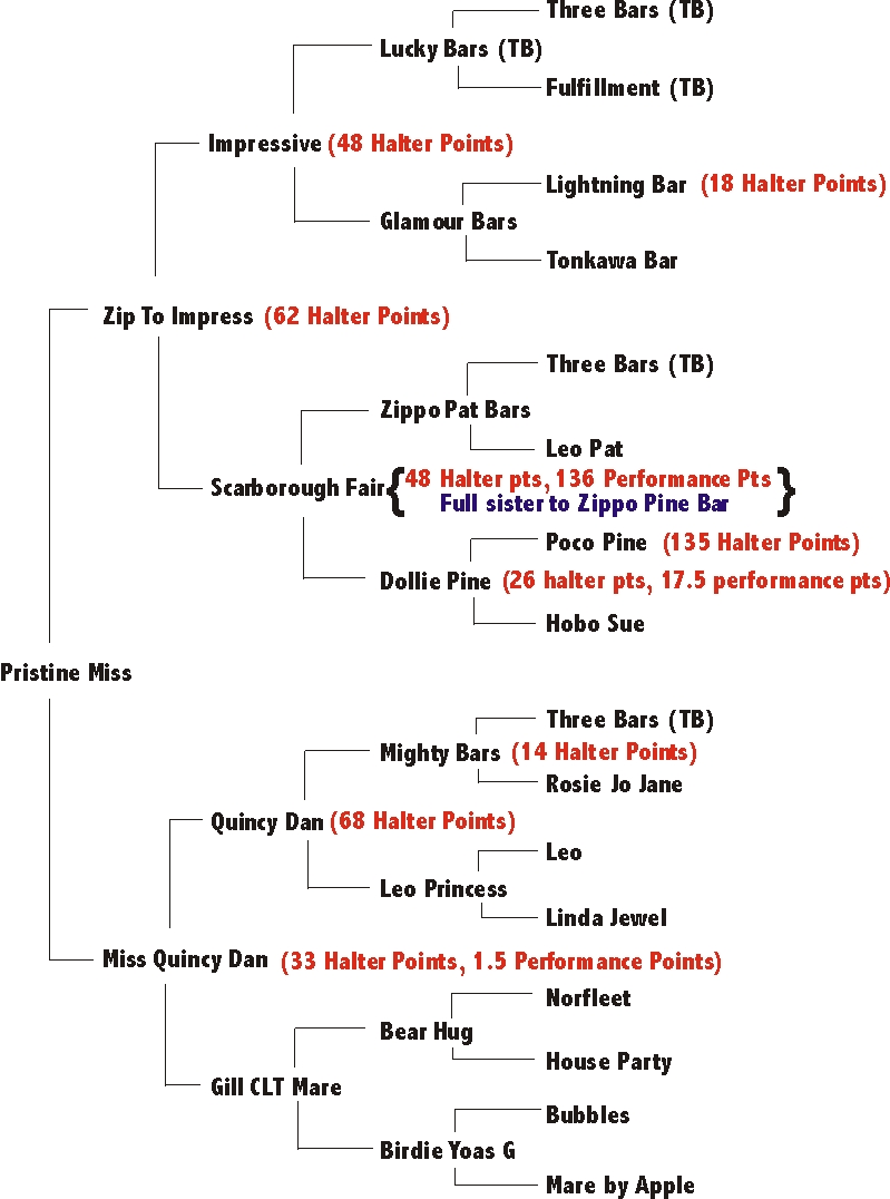 Bobbis_Pedigree.JPG (247739 bytes)