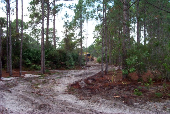 cleared lot day 2 driveway.jpg (120826 bytes)