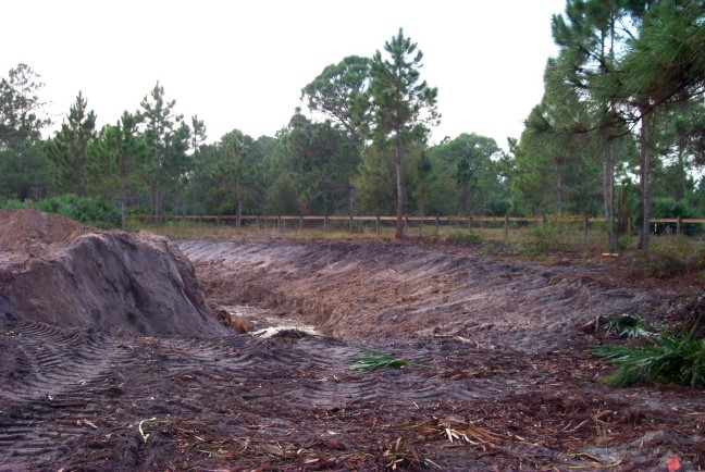 cleared lot day 2 pond.jpg (102200 bytes)