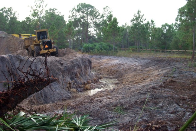 cleared lot day 2 pond2.jpg (100215 bytes)